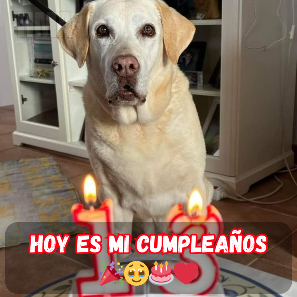 17 cumpleaños rodeado del inmenso amor de todos