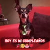 Celebre un cumpleaños significativo: envíe buenos deseos a las personas que amo