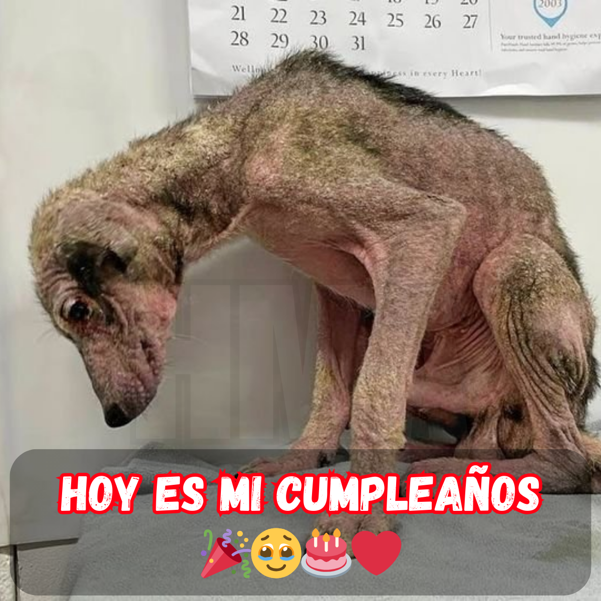 Cuando el cumpleaños se convierte en un día de silencio: Nadie me ha deseado lo mejor 🎂😔