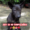 Cumpleaños con dolor cuando nadie me deseaba feliz cumpleaños