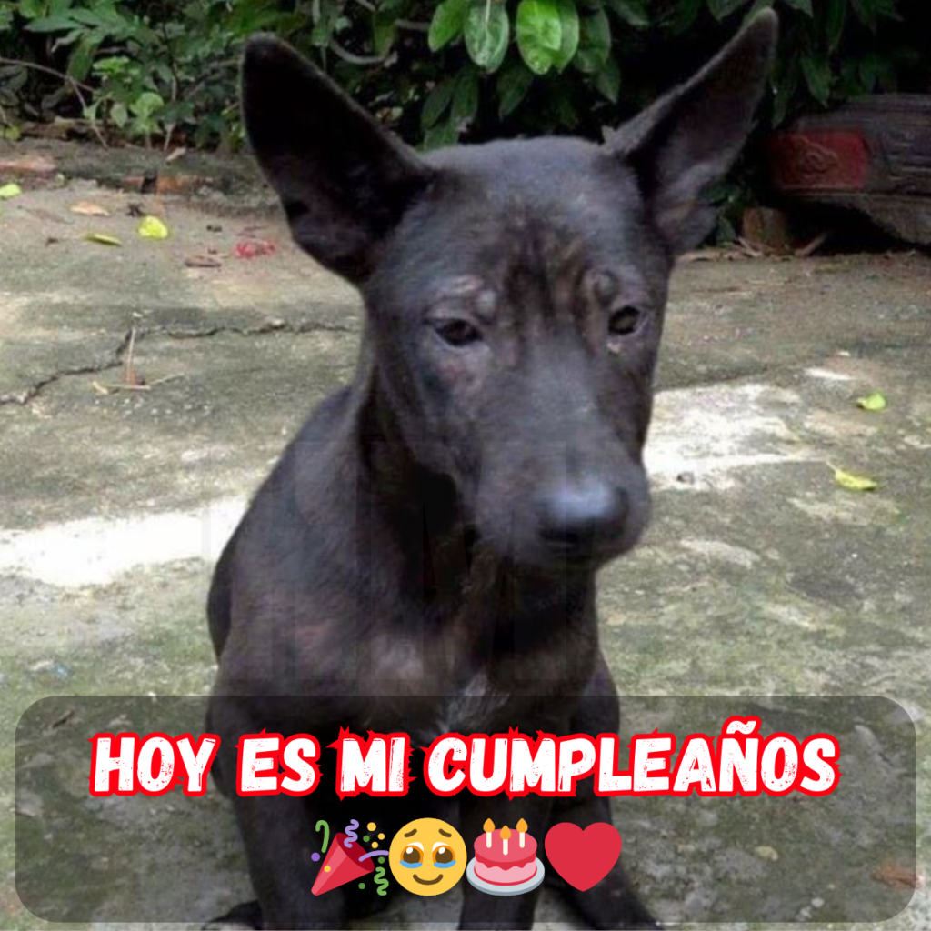 Cumpleaños con dolor cuando nadie me deseaba feliz cumpleaños