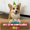 Cumpleaños este año... aún esperando esos mensajes especiales 😔 ¿Quién me hará sonreír primero?
