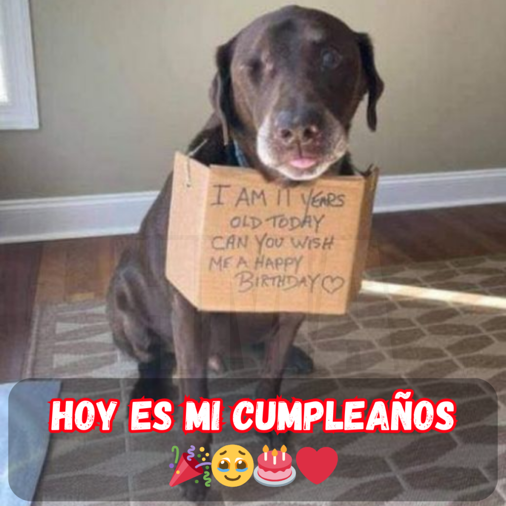 Cumpleaños frustrado: a nadie le importa y nadie me desea un feliz cumpleaños