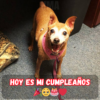 Cumpleaños sorpresa: Aunque mi enfermedad siempre me atormenta, gracias a la preocupación de todos, no soy feliz