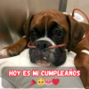 Décimo cumpleaños con dolor: espero que en mi nueva era pueda recuperarme rápidamente