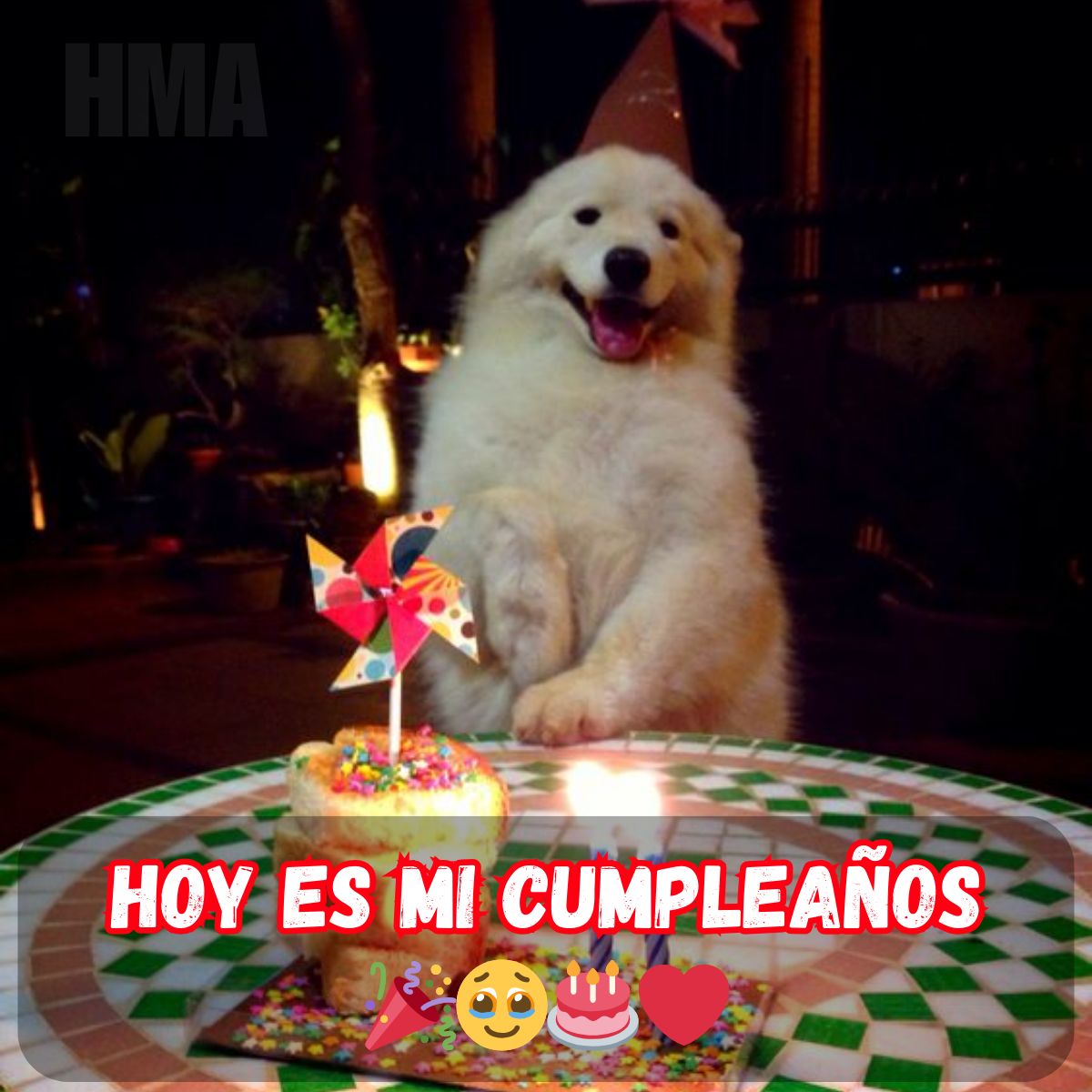 El cumpleaños es tan especial, espero que me lleguen todas las cosas lindas.