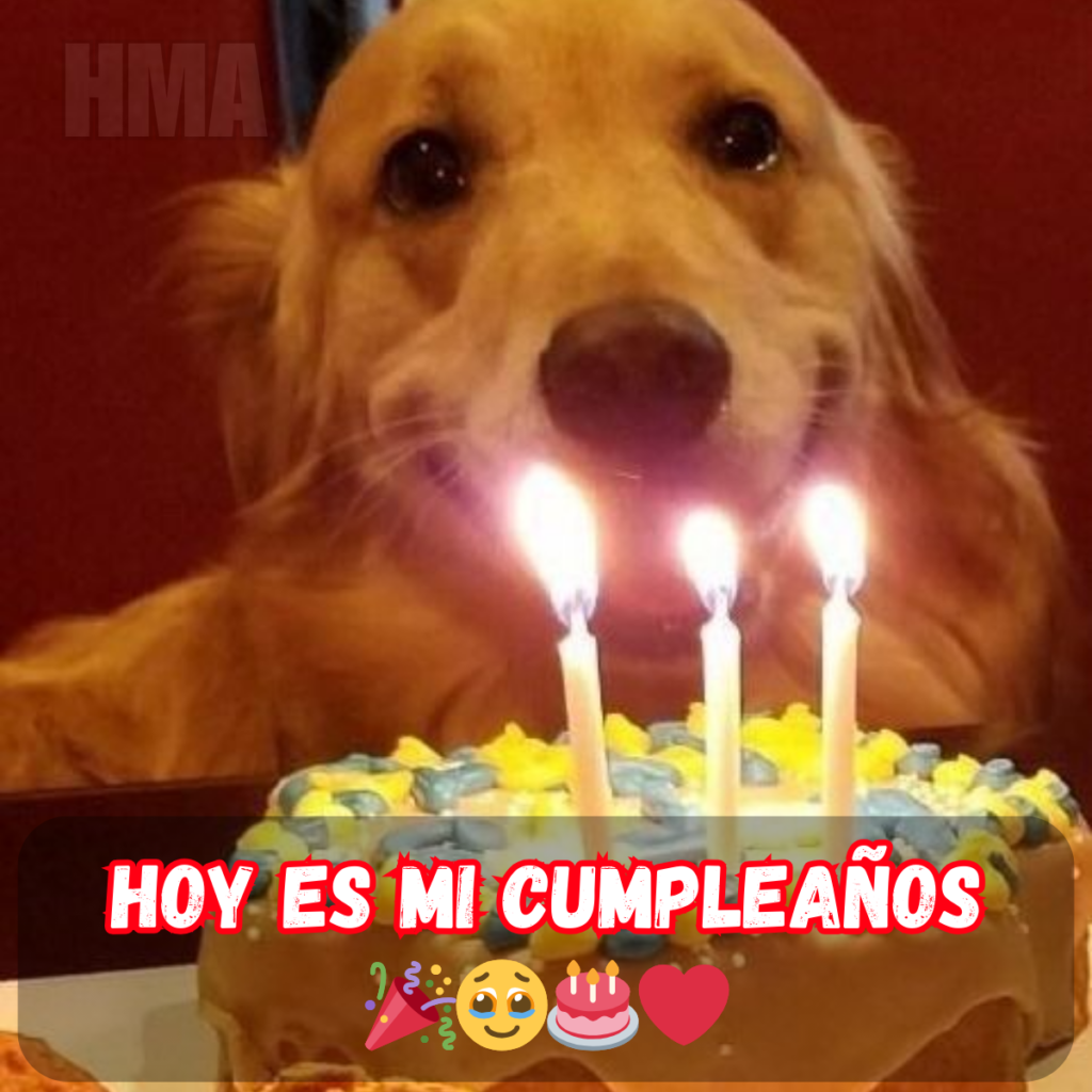 Es mi cumpleaños, pero todavía no veo ningún mensaje de felicitación 😢🎂 ¿Quién será la primera persona en mandarme uno?