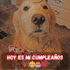 Esperando con ansias las cosas buenas que me llegarán en este día tan especial.
