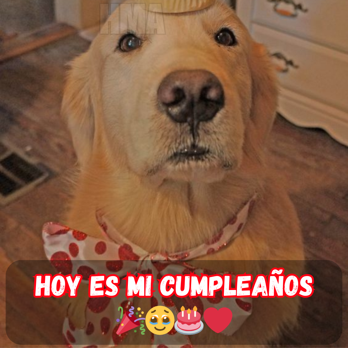 Esperando con ansias las cosas buenas que me llegarán en este día tan especial.