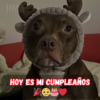 Feliz cuarto cumpleaños para mí