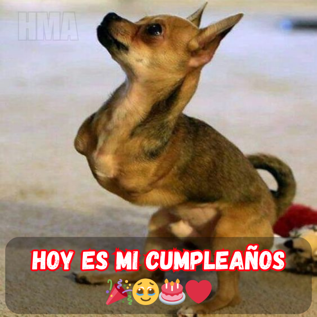 Feliz cumpleaños a mí, gracias por estar viva y perseverar.