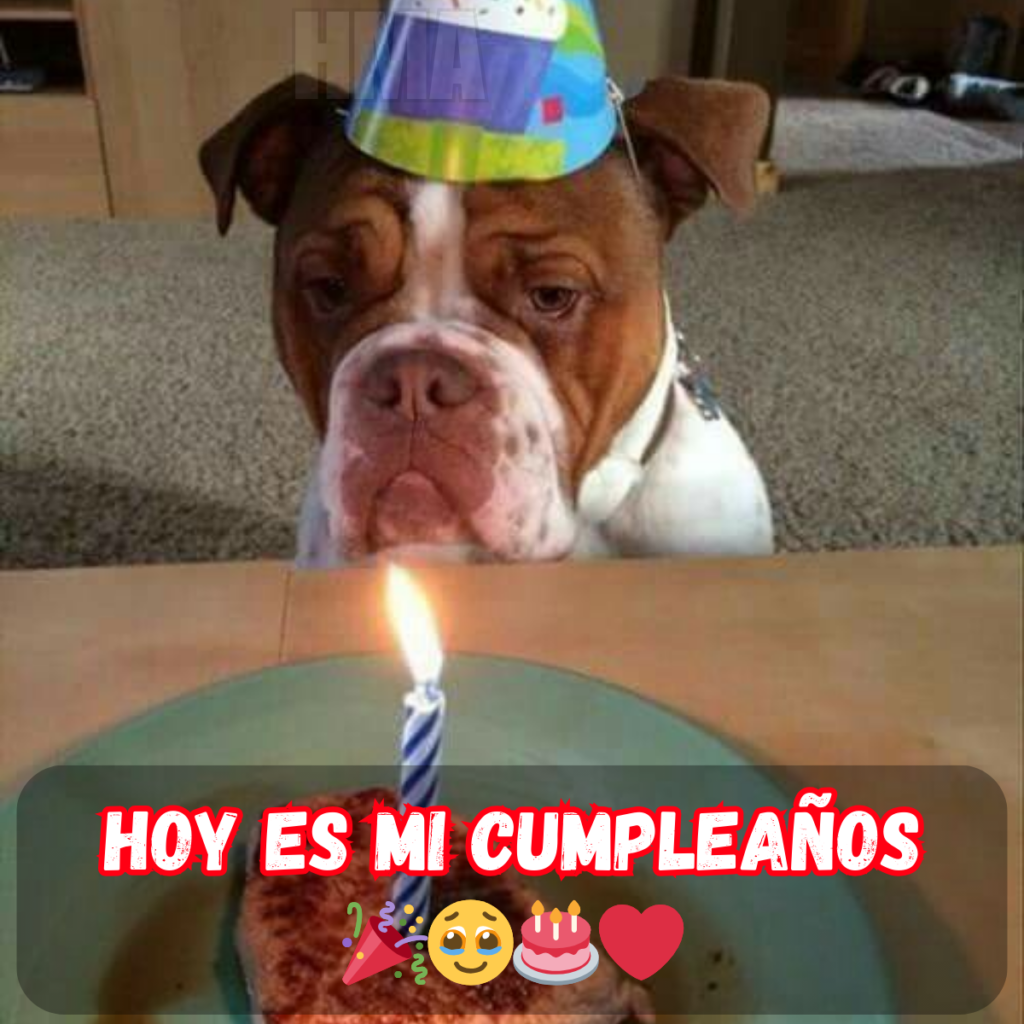 Feliz cumpleaños, nadie se preocupa por mí.