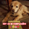 Hoy es mi cumpleaños número 15 y espero que me lleguen las mejores cosas. – hmainh