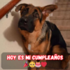 Hoy es mi cumpleaños y espero que me vengan las mejores cosas. – hmainh