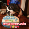 Hoy es mi sexto cumpleaños y estoy muy emocionado por ello.