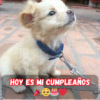 Hoy es mi tercer cumpleaños: por favor celebra la alegría conmigo.