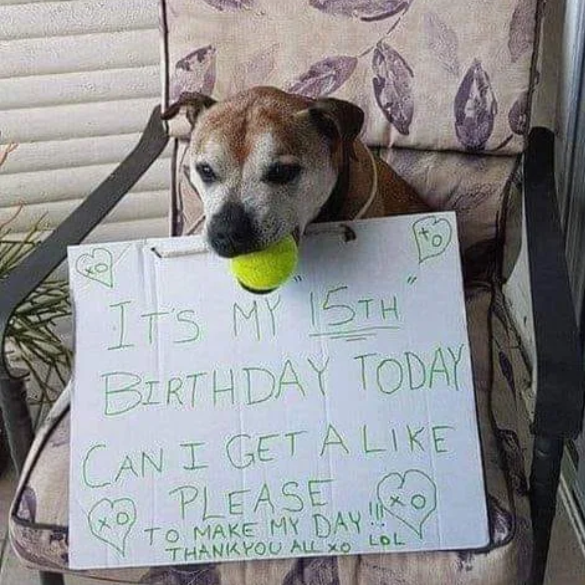 I feel quite depressed since nobody has thought to wish me a happy birthday, even though it is my birthday today.