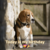 I’m depressed because nobody has made the effort to join me in celebrating my birthday.