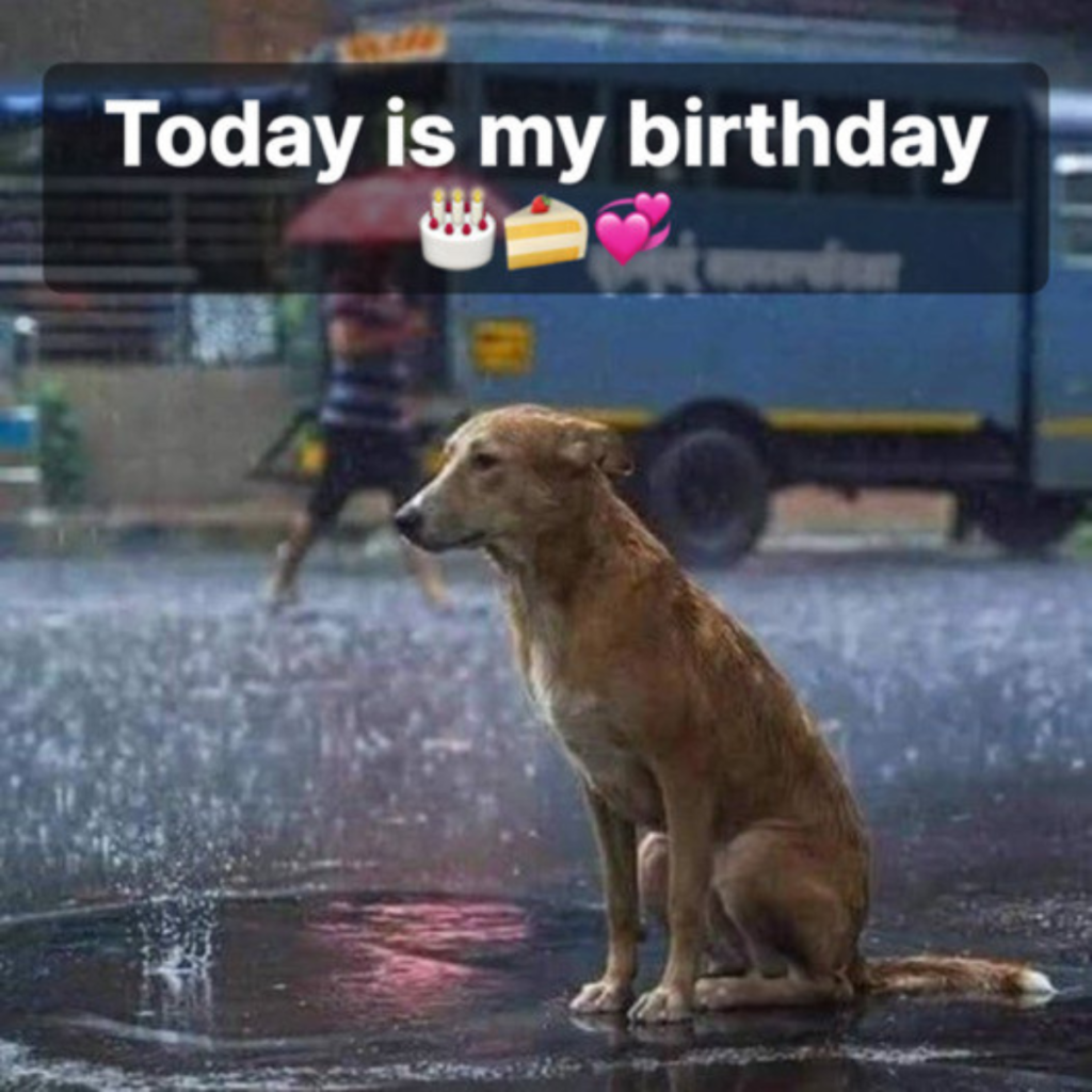 It's officially my birthday today, and I'm sorry that nobody has bothered to wish me a happy birthday.