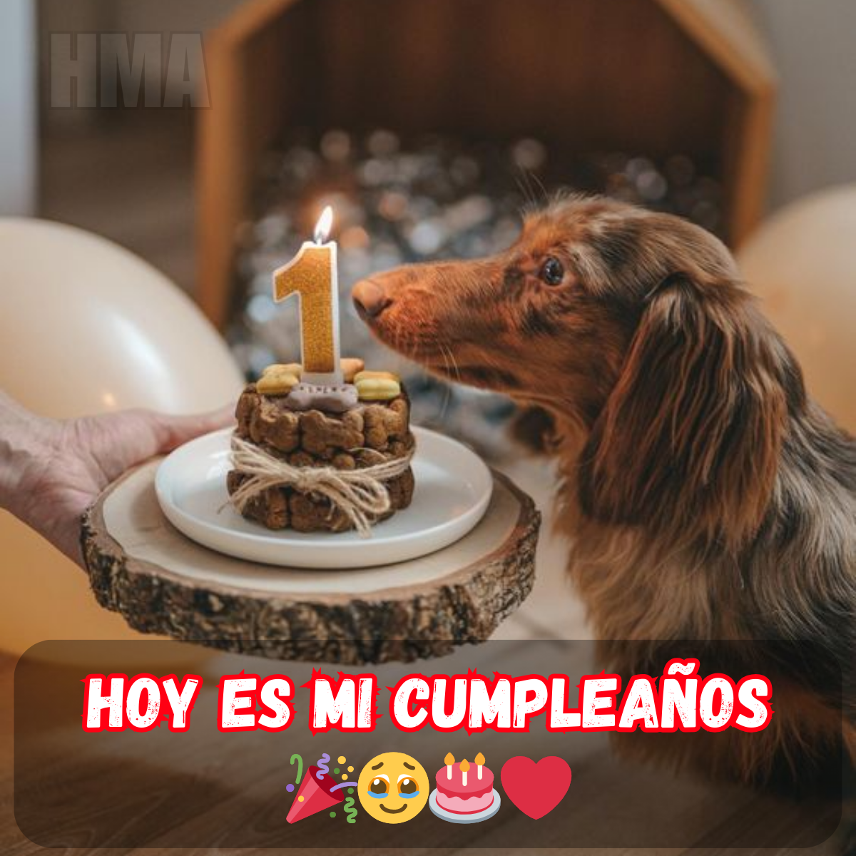 Lo mejor de mi día hoy❤️❤️🎉🎁