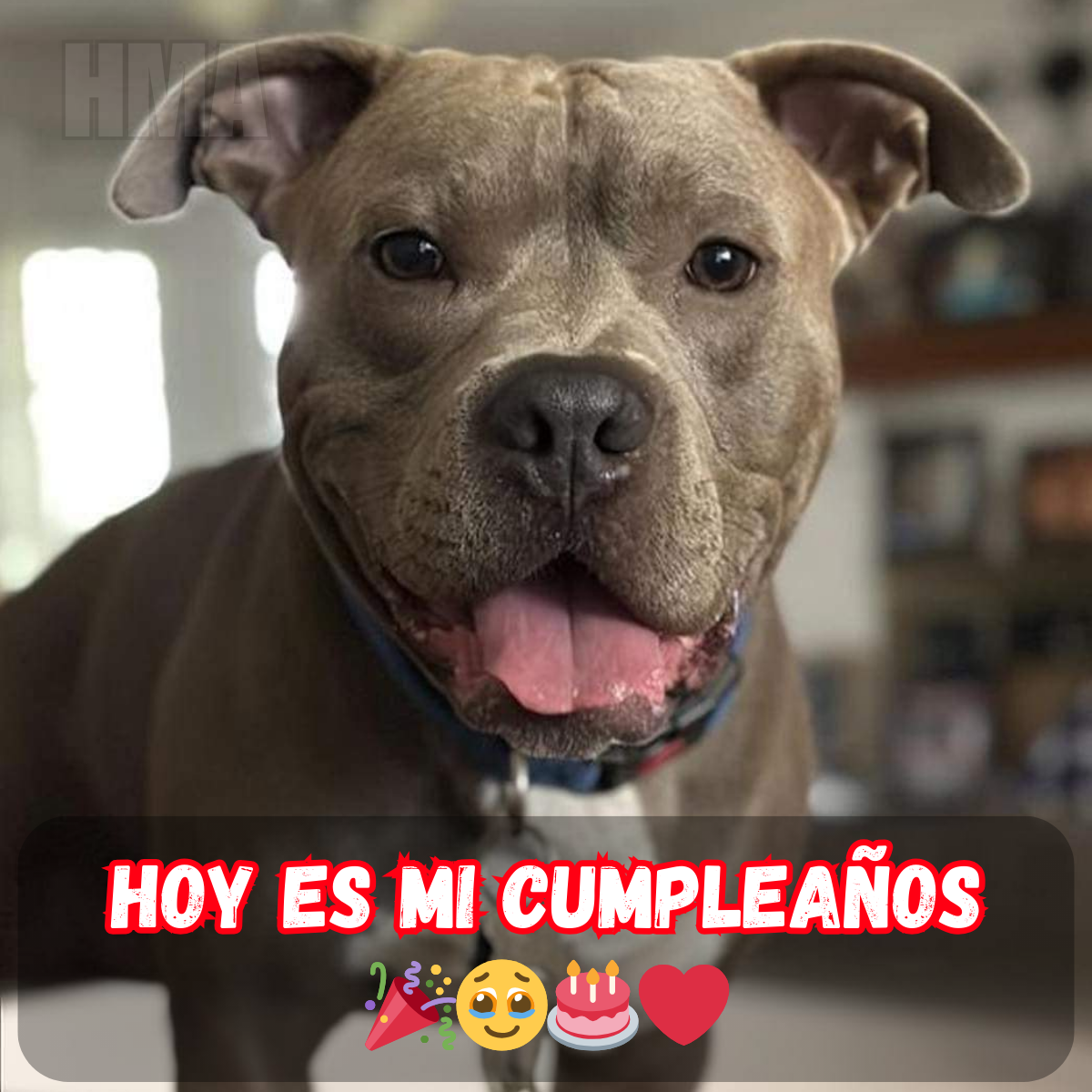 Mi cumpleaños: Un día que esperaba lleno de amor, pero recibí silencio ??