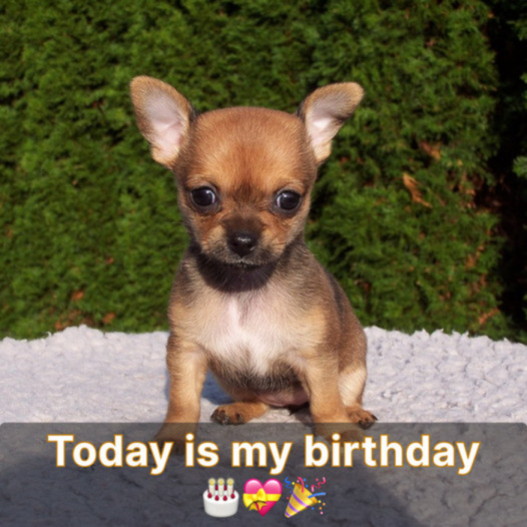 My birthday is today, and I would appreciate it if you could send me well wishes.