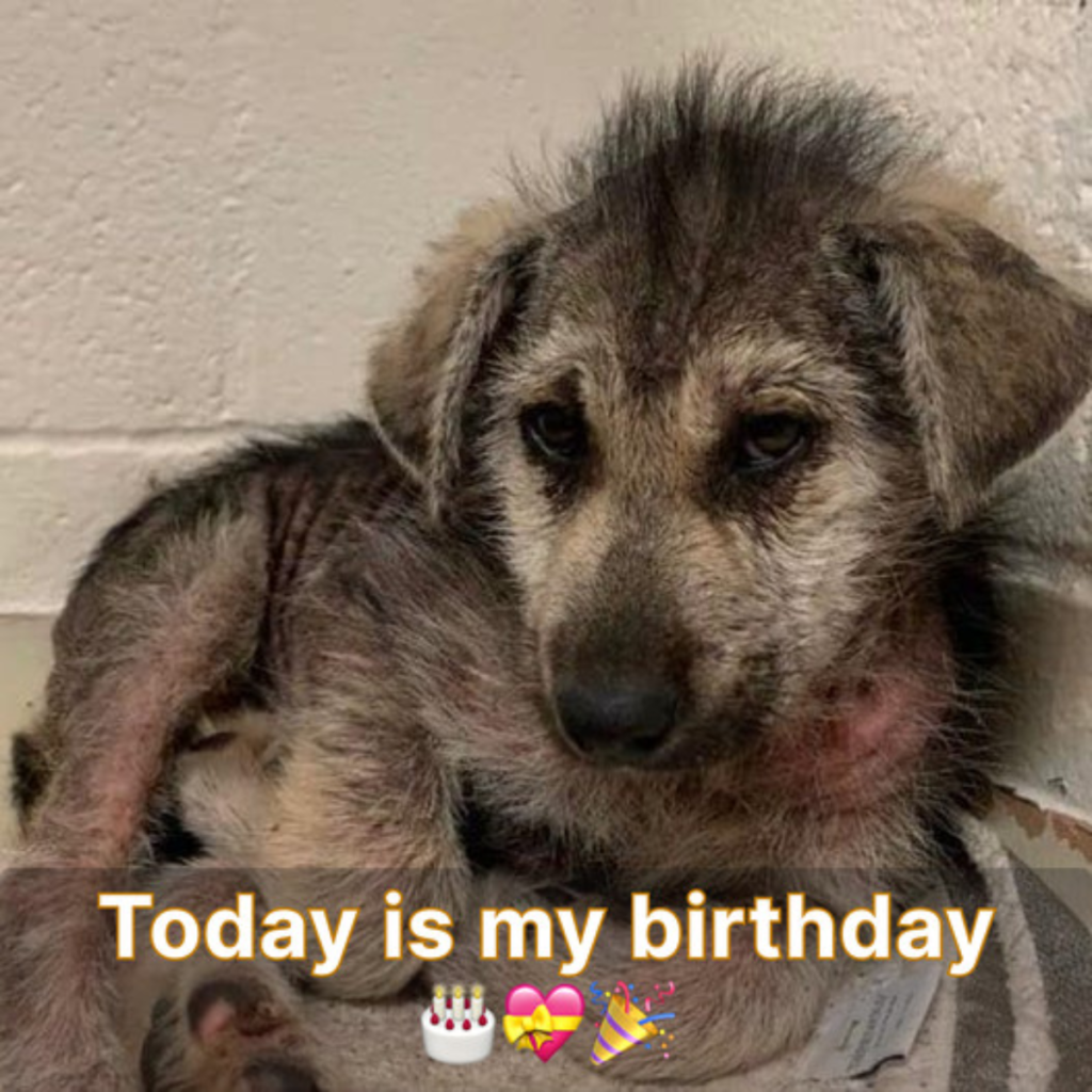 Nobody is aware that it's my birthday today, and I'm not sure how to attract anyone's attention.