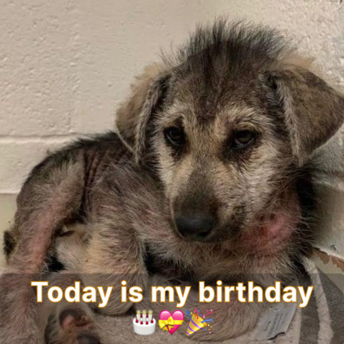 Nobody is aware that it's my birthday today, and I'm not sure how to attract anyone's attention.