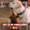 Paso mi vida siendo leal a un maestro porque eso es lo que puedo dar.