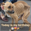 Today is my birthday, but I'm depressed because nobody has bothered to give me a greeting.