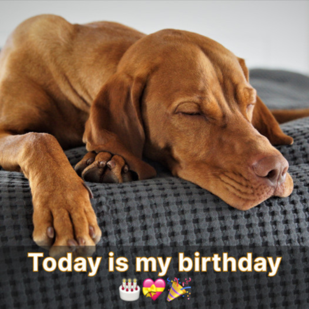When No One Notices Your Birthday Party