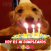 ¡Saludos por tu cumpleaños! Espero que tengas un día lleno de felicidad, amor y calidez. Eres importante. 🎉🎂💞 ‎ – hmainh