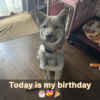 Un cumpleaños especial… pero nadie se acuerda de él.hanh