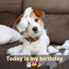 My pals are unable to attend my birthday celebration today, so I'm disappointed and will be leaving alone.hanh