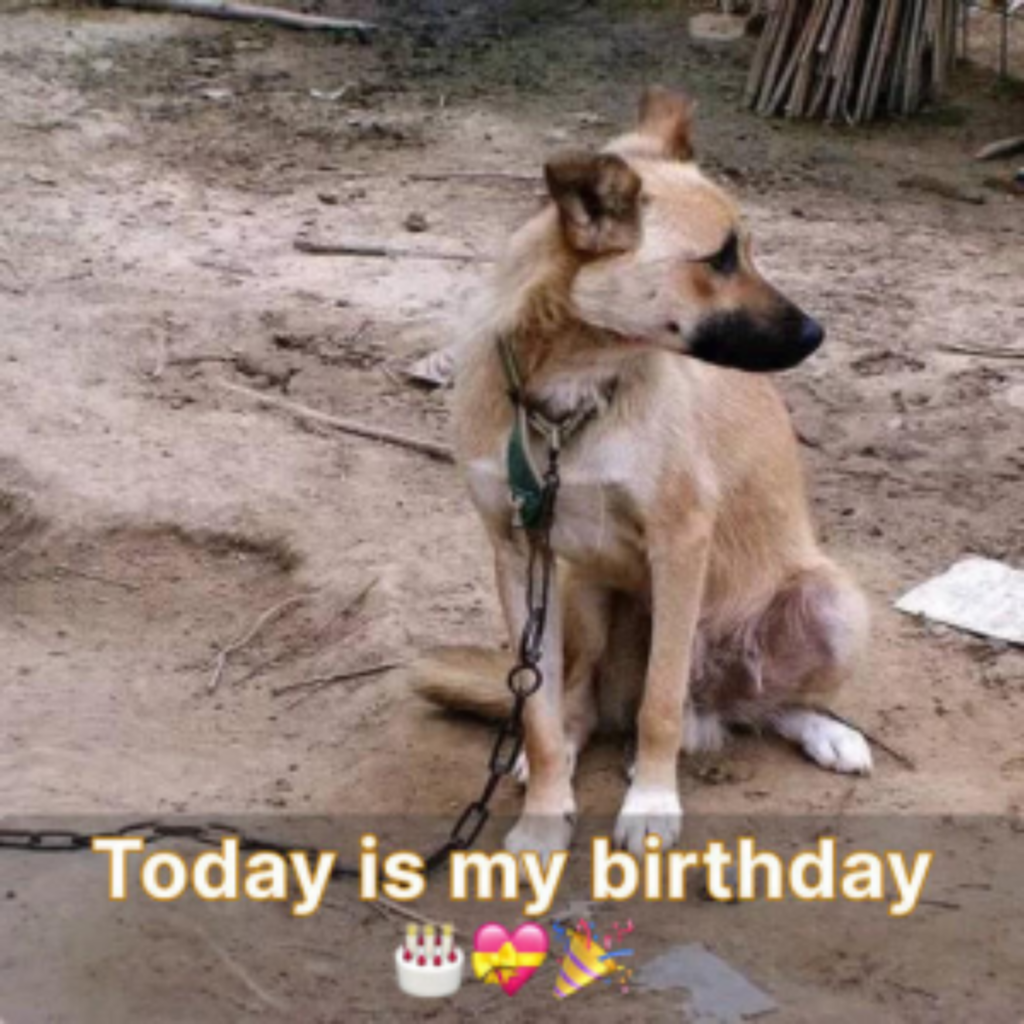 Today is my birthday, but I feel sad because no one wished me a happy one.hanh