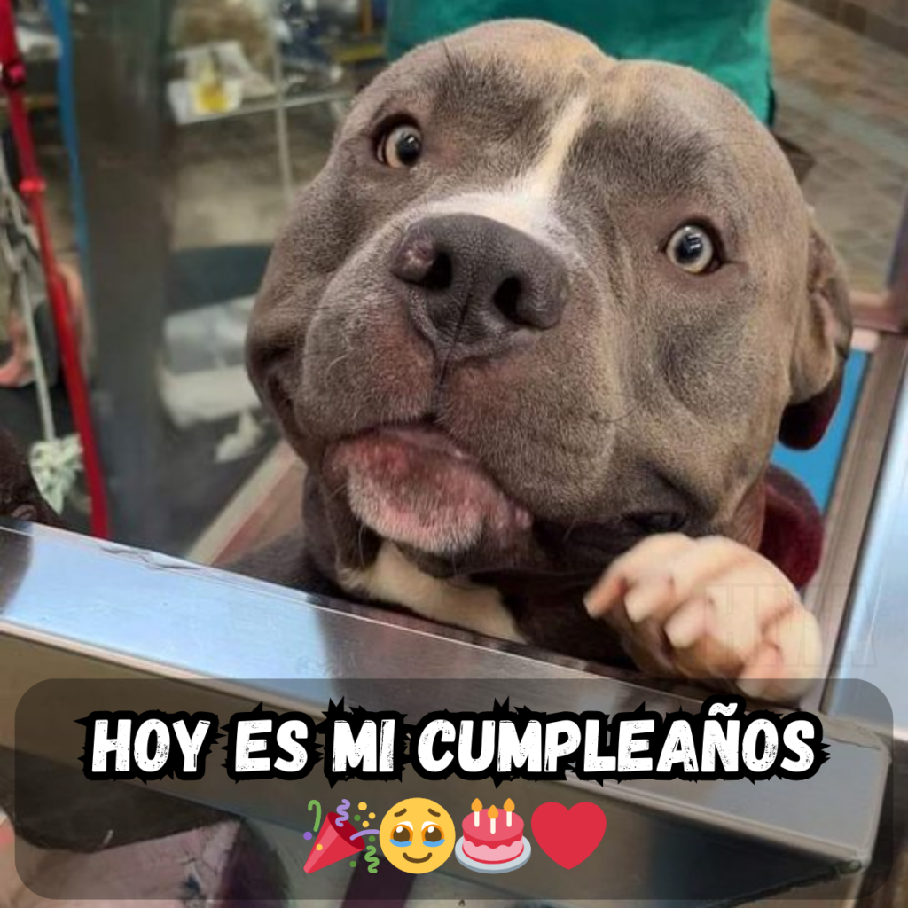 Un cumpleaños sin abrazos ni deseos: sintiéndome más solo que nunca 🎂😢