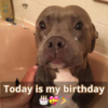A Journey of Self-Discovery and Acceptance for Lovers on Darian's Thirteenth Birthday