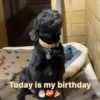 A Lonely Celebration:It's my birthday today. Regretfully, no wishes were sent to me.hanh