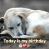 A Tale of Hope and Survival on His Birthday