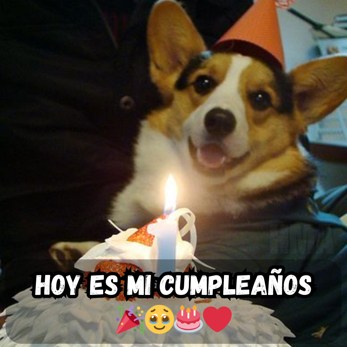 Celebrando Solo: Cuando Tu Cumpleaños Se Siente Más Como un Recordatorio de Soledad 🎈💭