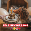 Celebrando Solo: Encontrando Sentido en un Cumpleaños Silencioso 🎂✨