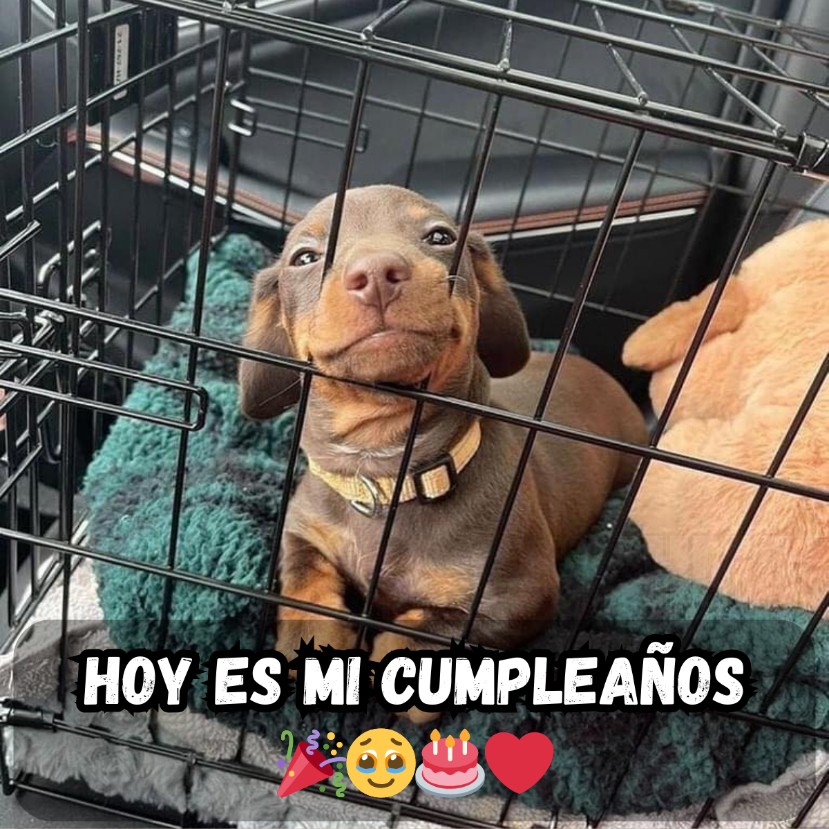 Cuando el Día Es Tuyo, Pero Las Felicitaciones Faltan 🎉😔