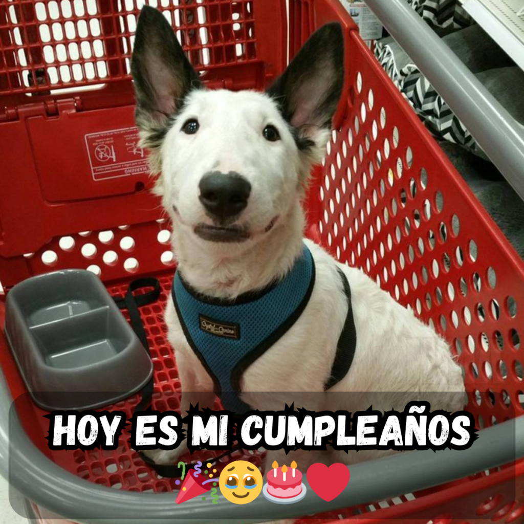 Cuando los cumpleaños no se sienten especiales: solo en el día que debería celebrarse 🎂😔