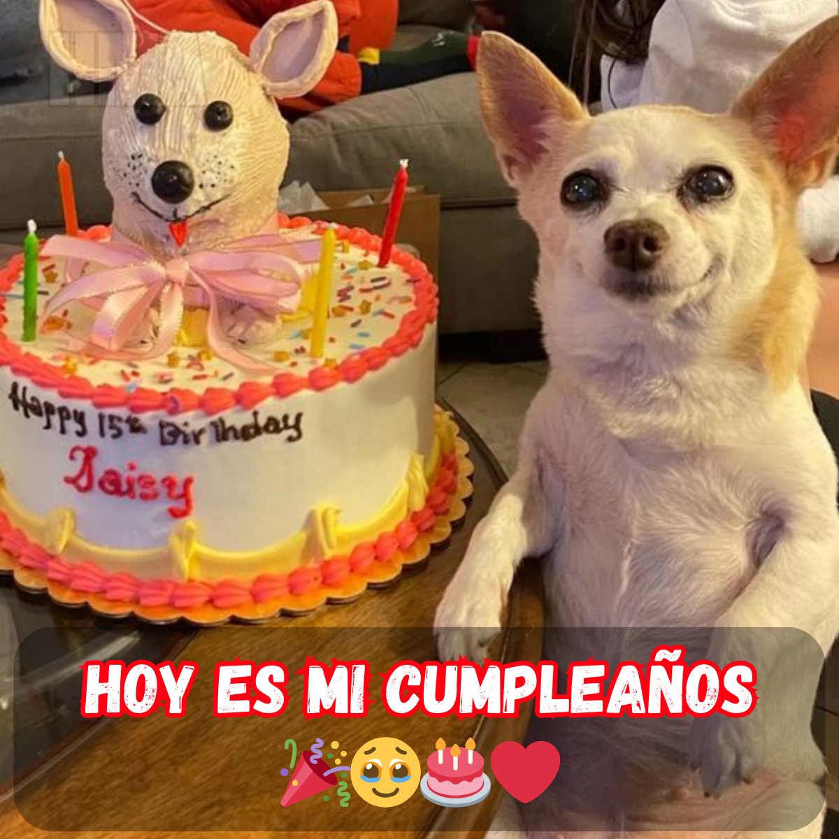 Cuando los cumpleaños ya no son divertidos: Esperando las felicitaciones que aún no han llegado 🎂