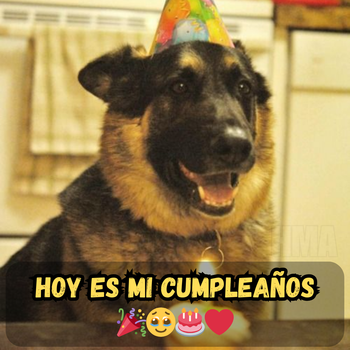 Cuando tu día especial se siente como una marca más en el calendario