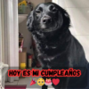 Cuando tu pastel de cumpleaños está lleno de velas pero vacío de alegrías