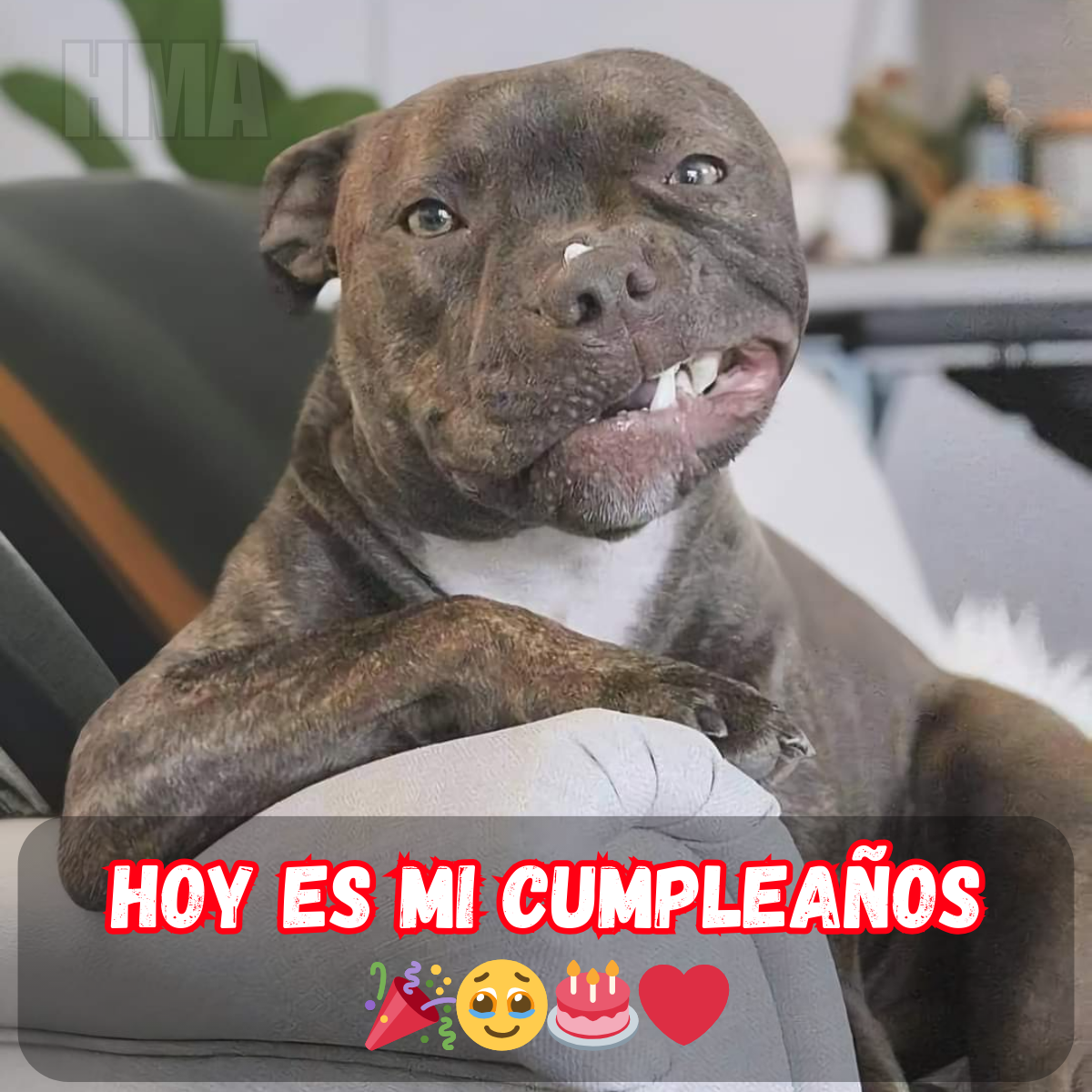 Cumpleaños en silencio: esperando un saludo 🎂