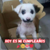 Cumpleaños en soledad: esperando un saludo que no llega 😔🎂