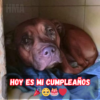 Cumpleaños hoy, pero ¿dónde están las felicitaciones? 😔🎂