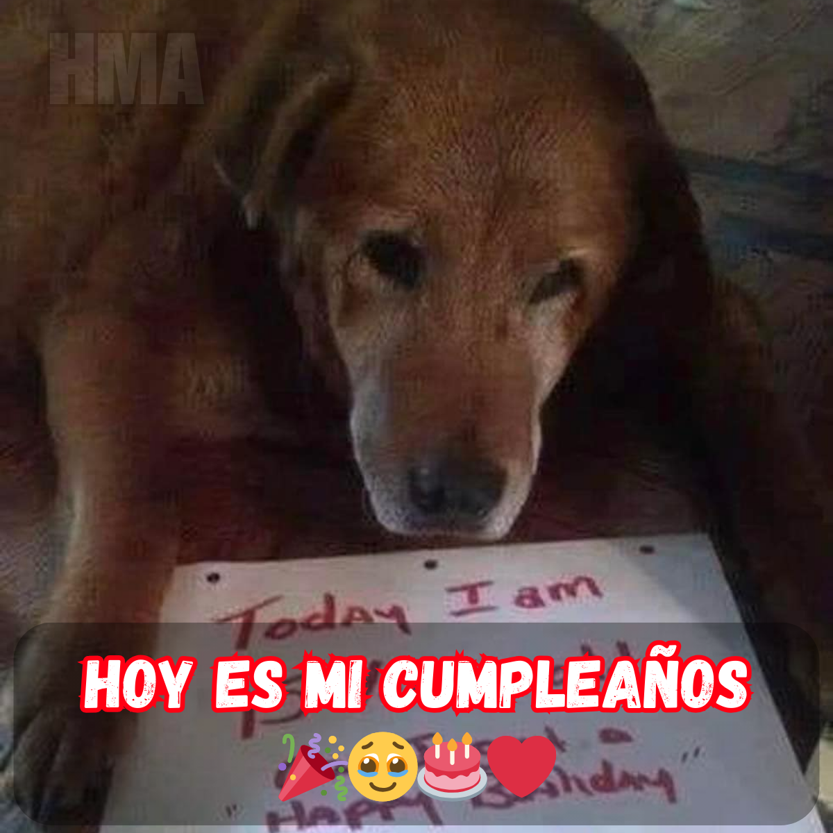 Cumpleaños hoy y la sensación de falta de un saludo 😔🎂